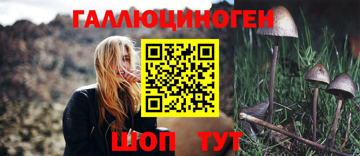 Галлюциногенные грибы прущие грибы Касимов